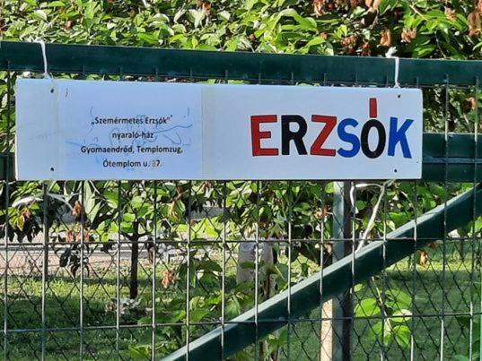 Szemermetes Erzsok Nyaralohaz Villa Gyomaendrőd Eksteriør billede